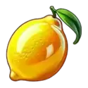 icon 4