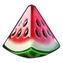 icon 5