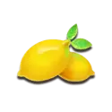 icon 6