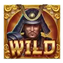 icon 9