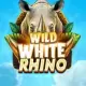 Wild White Rhino