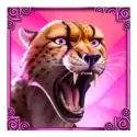 icon 3