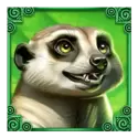 icon 6