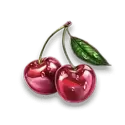 icon 9