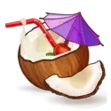 icon 6