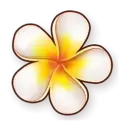 icon 5
