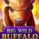 Big Wild Buffalo