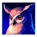 icon 3