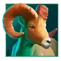 icon 5
