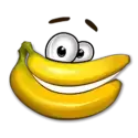 icon 2