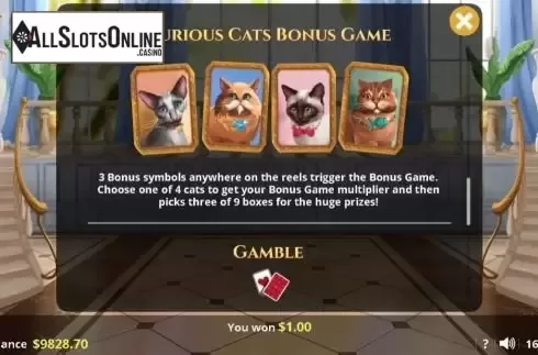 Bonus Game. Cuddles & Co. from Lady Luck Games