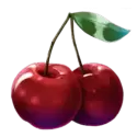 icon 5