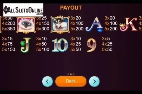 Paytable. Hollywood Pets from Betixon