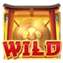 symbol 13