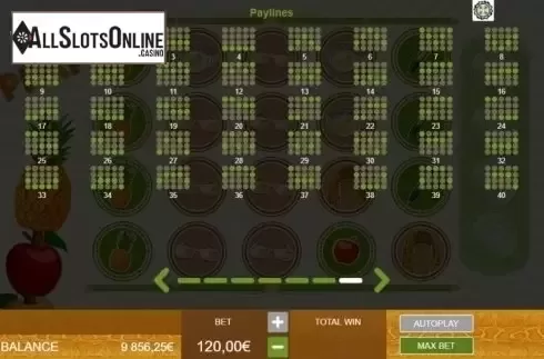 Paylines. Pikotaros Pineapple Pen from Ganapati