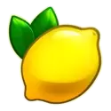 icon 6