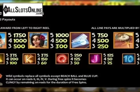 Paytable. The Party Guy from Nucleus Gaming