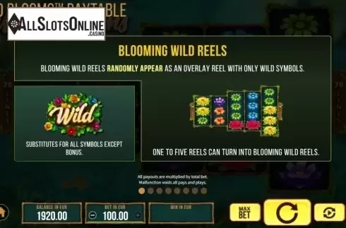 Features. Wild Bloom from SYNOT