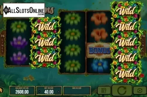 Wild Reels. Wild Bloom from SYNOT
