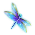 icon 6