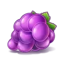 icon 6