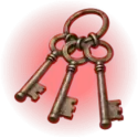 icon 1
