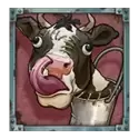 icon 2