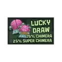 Bonus Buy Lucky Draw