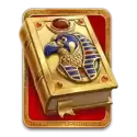 icon 10
