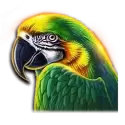 icon 3