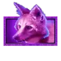icon 4