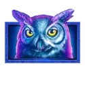icon 6