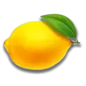 icon 5
