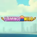 Flamingo Goes Wild