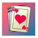 icon 4