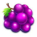 icon 4