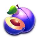 icon 5