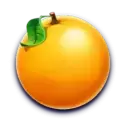 icon 6