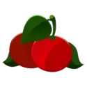 icon 7