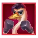 icon 3