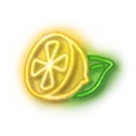 icon 4