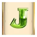 icon 8