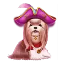 icon 2