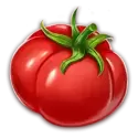 icon 5