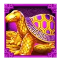 icon 5
