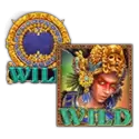 icon 13