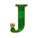 icon 9