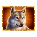 icon 4