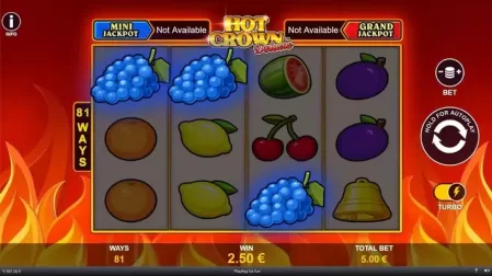 Hot Crown Deluxe slot screenshot 3
