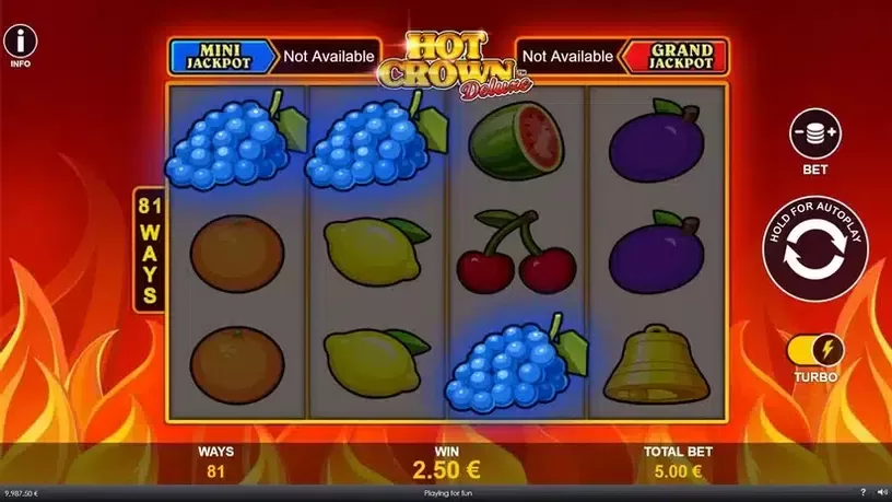 Hot Crown Deluxe slot screenshot 3